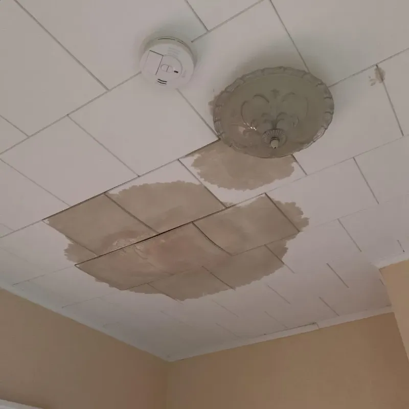 Ceiling Water Damage Repair in Kinsley, KS